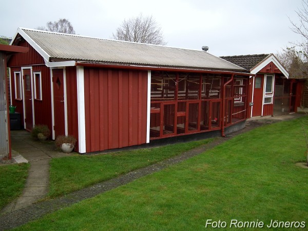 Fågelhuset